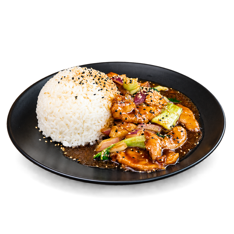 Teriyaki Chicken on Rice